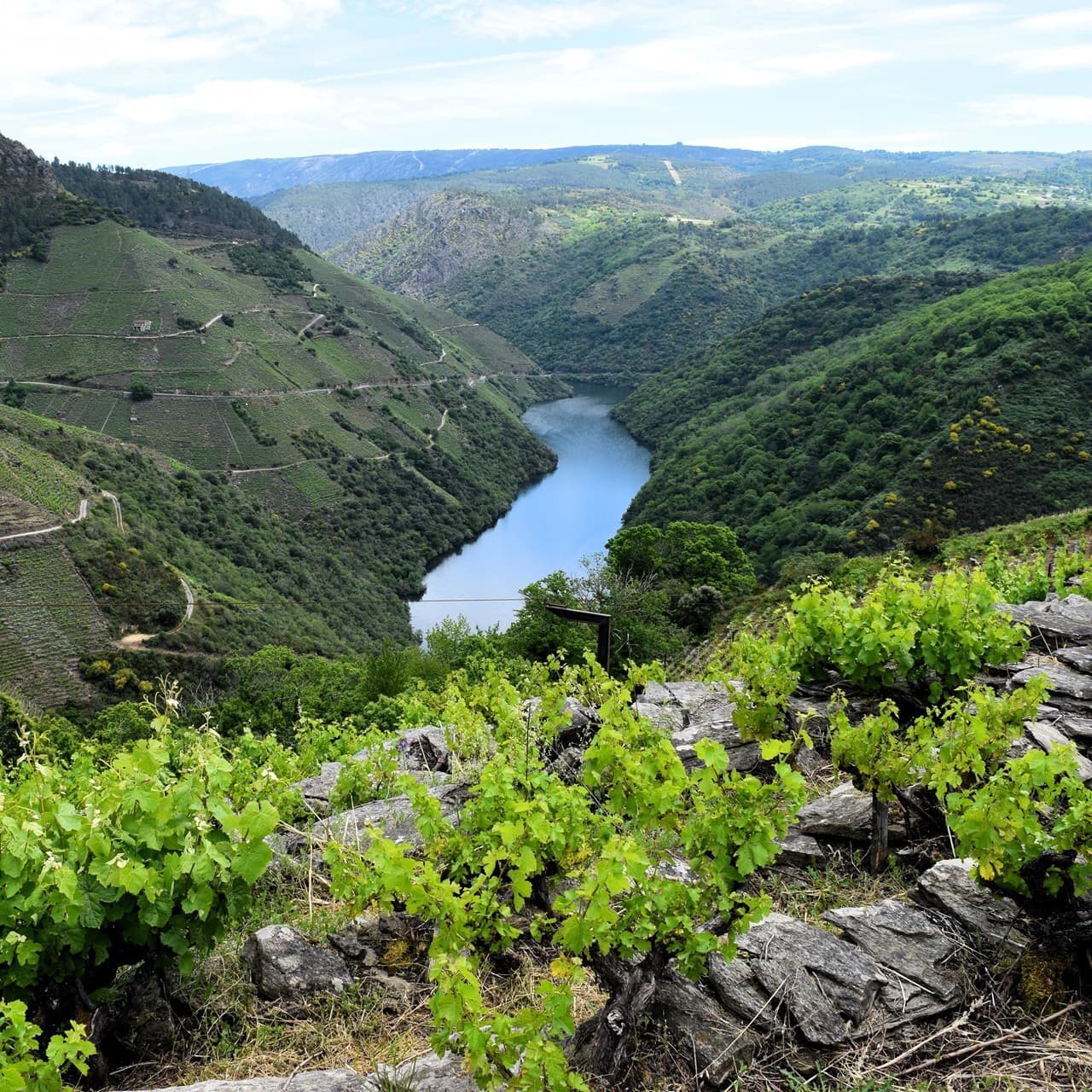 Ver entorno de As Casiñas do Alto