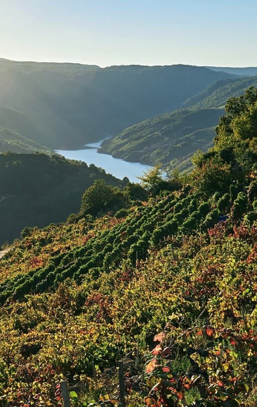 Alojamiento rural en Portomarín