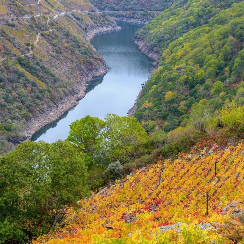 Datos de contacto de As Casiñas do Alto